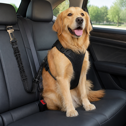 Pettorina di sicurezza auto per cani regolabile in rete traspirante