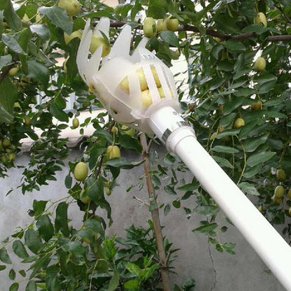 Raccogli frutta telescopico con cestello