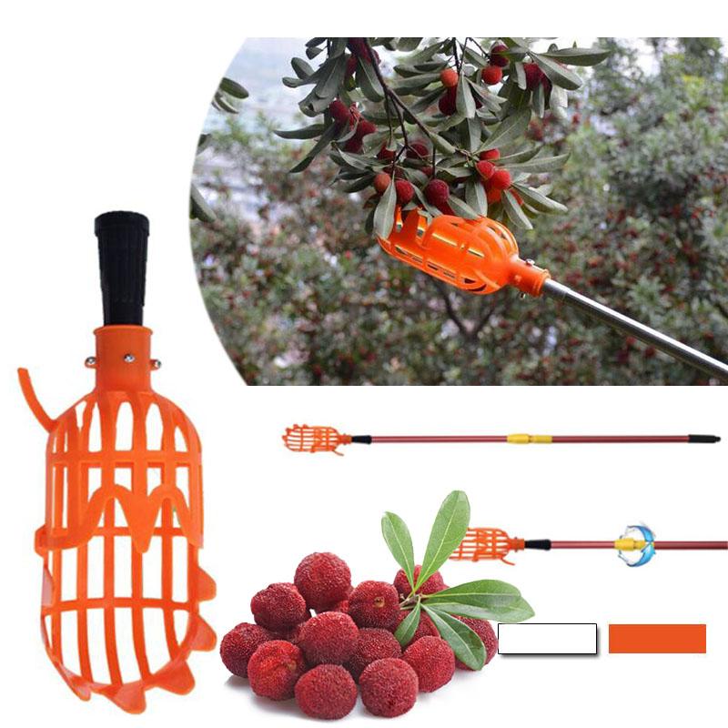 Raccogli frutta telescopico con cestello