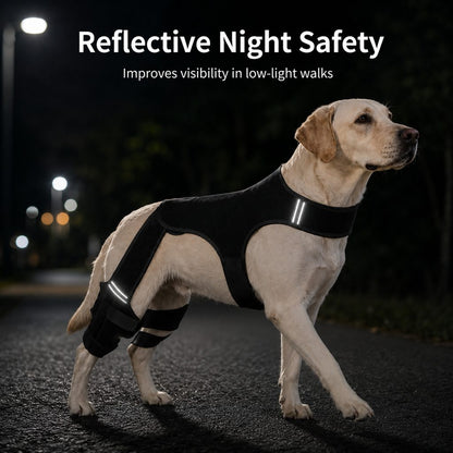 Rassivo RearGuard tutore di supporto per zampe posteriori del cane - fascia stabilizzante antiscivolo per cani anziani, 