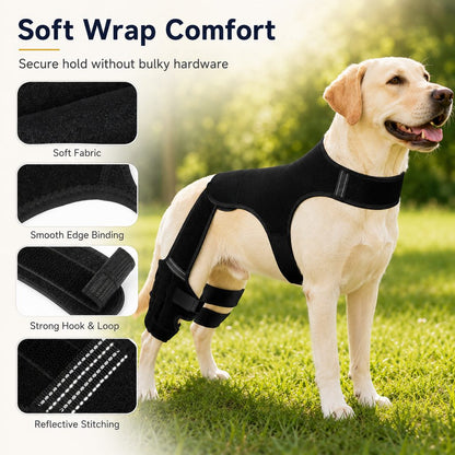 Rassivo RearGuard tutore di supporto per zampe posteriori del cane - fascia stabilizzante antiscivolo per cani anziani, 