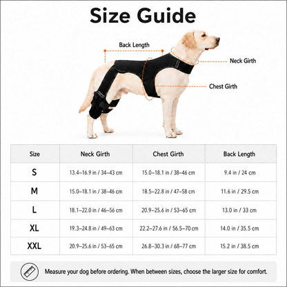 Rassivo RearGuard tutore di supporto per zampe posteriori del cane - fascia stabilizzante antiscivolo per cani anziani, 