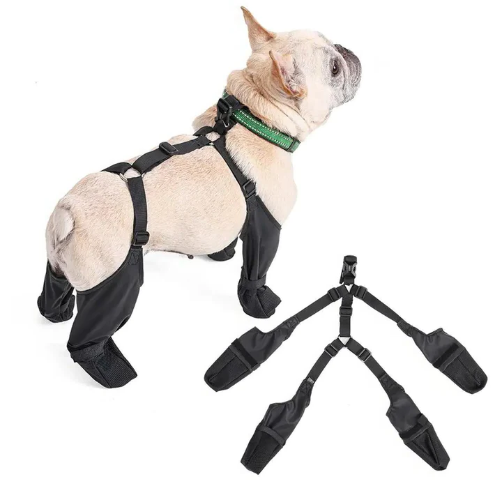 Scarpette Antiscivolo Regolabili per Cani con Protezione per Tutte le Stagioni
