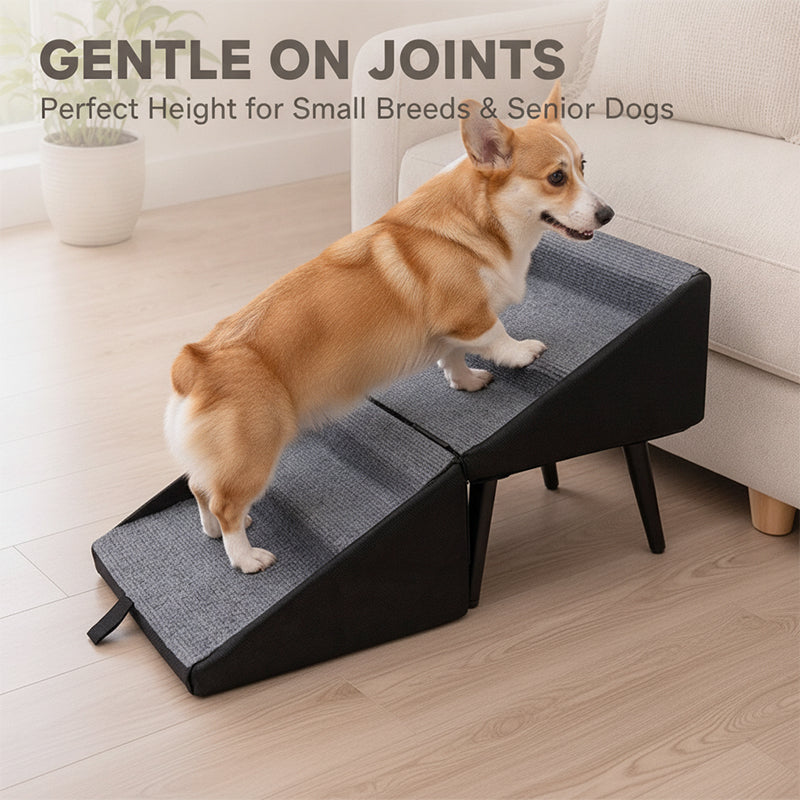 Rassivo Safe Pet Access Solution