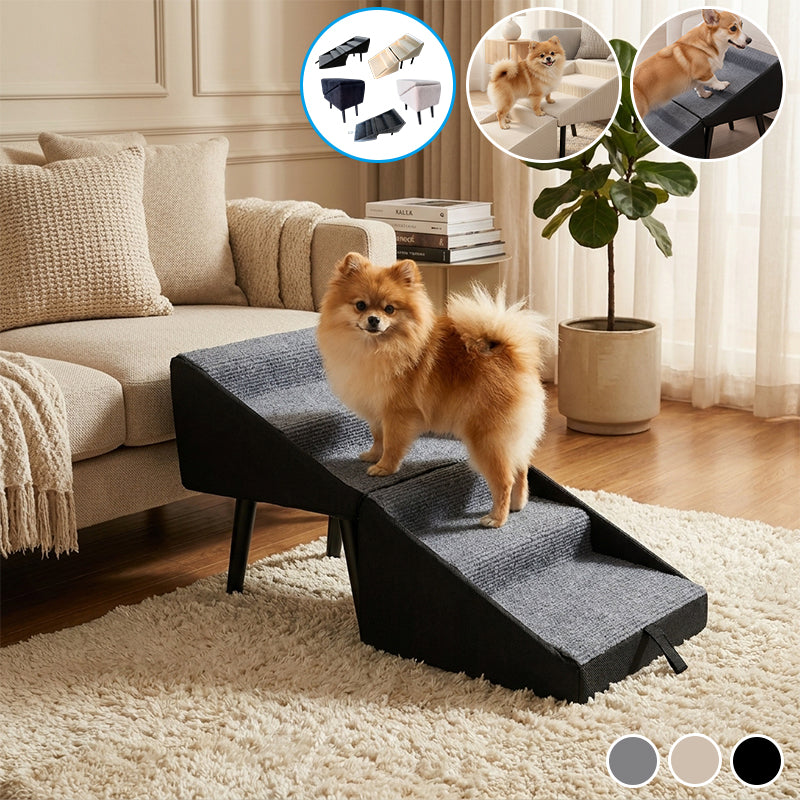 Rassivo Safe Pet Access Solution