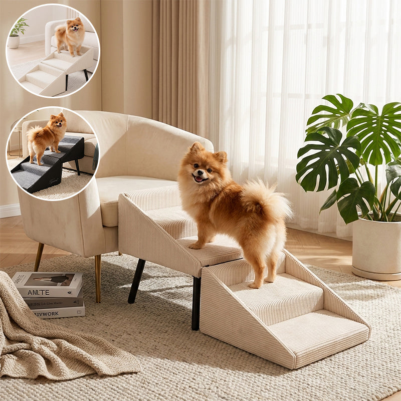 Rassivo Safe Pet Access Solution