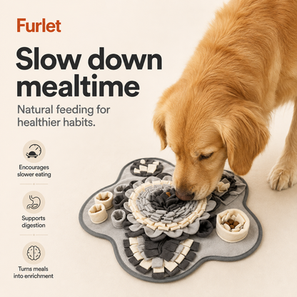 Tappeto olfattivo interattivo per cani