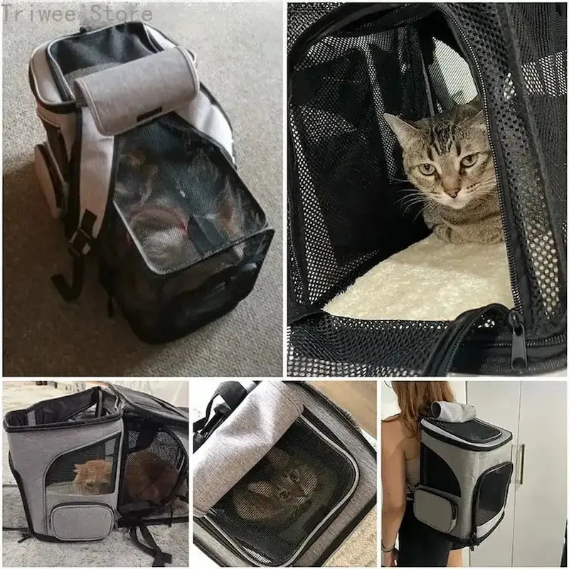 Zaino da Trekking per Gatti – Ultra Traspirante | TrekCat