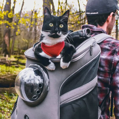 PANORIX – Borsa da viaggio pieghevole per gatto con finestra panoramica