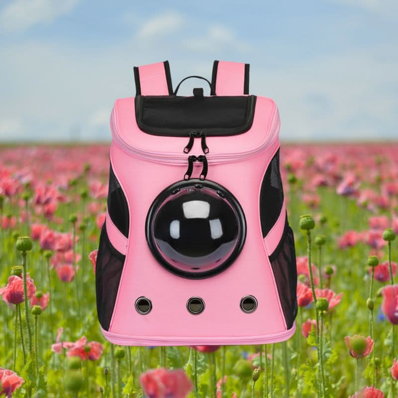 PANORIX – Borsa da viaggio pieghevole per gatto con finestra panoramica