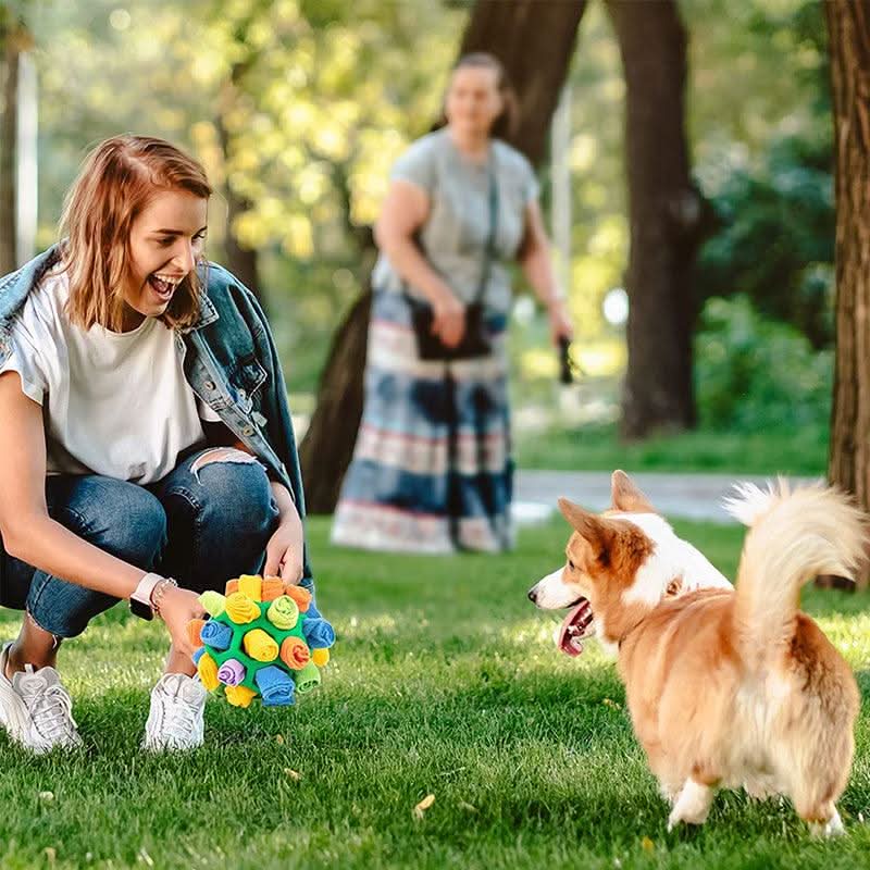 PAWZZLE MAT – Gioco interattivo da annusare per l’esercizio mentale
