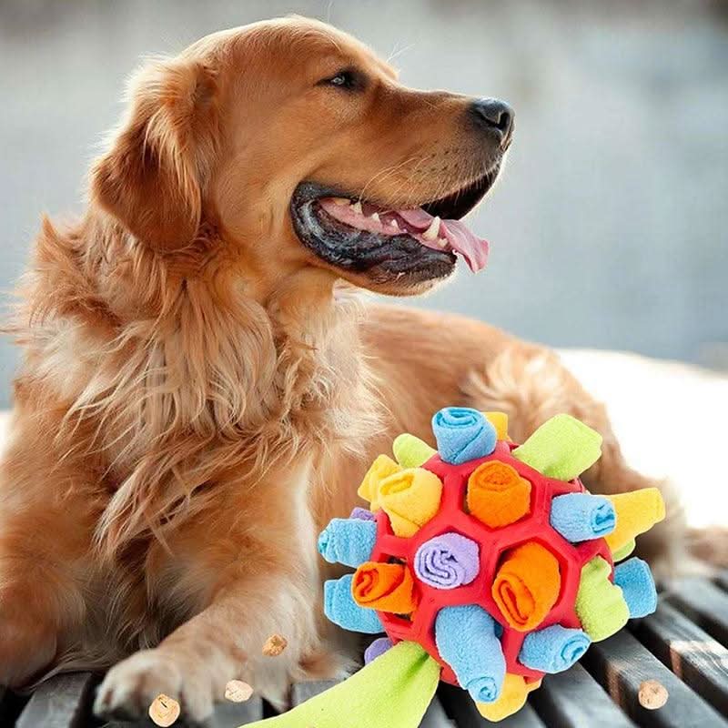 PAWZZLE MAT – Gioco interattivo da annusare per l’esercizio mentale