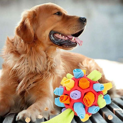 PAWZZLE MAT – Gioco interattivo da annusare per l’esercizio mentale