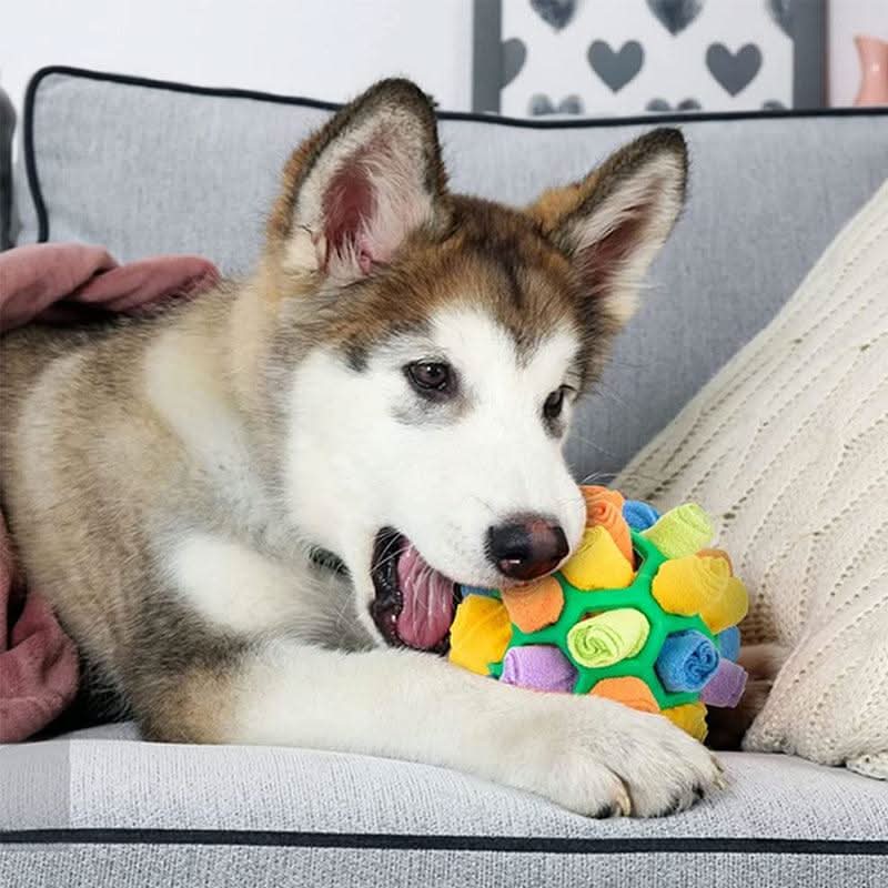 PAWZZLE MAT – Gioco interattivo da annusare per l’esercizio mentale