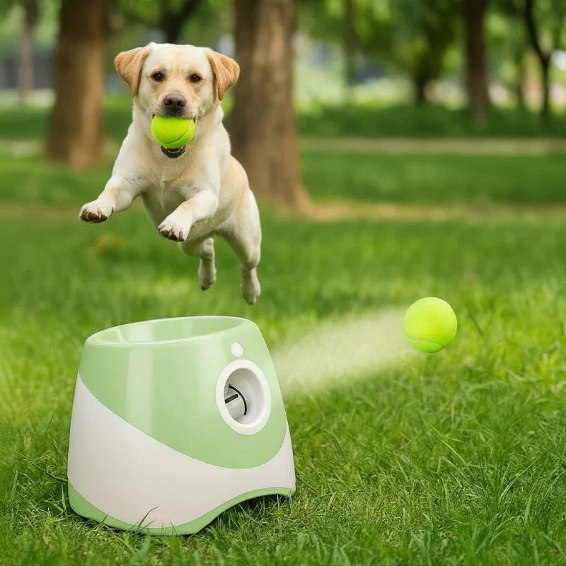 PLAYFETCH – Lancia-palle automatico per cani