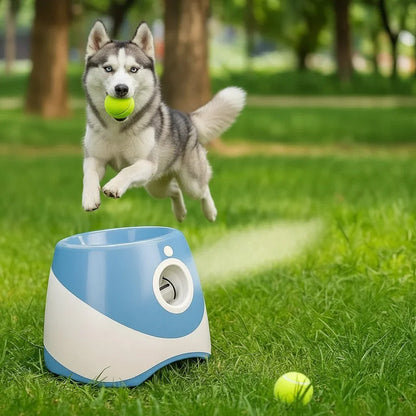 PLAYFETCH – Lancia-palle automatico per cani