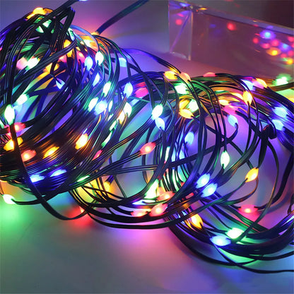 Luci LED natalizie multicolori per esterni – Catena impermeabile IP65